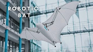 AMAZING Robotic Animals You Must See