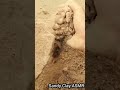 ASMR Lover 😋 #dusty #yellow #muddirt #drycrumbling #viralasmr #oddlysatisfying #relaxsound #asmr
