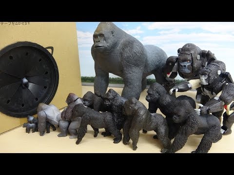 special-gorilla-festival-various-type-on-the-stage!-wild-and-machine-gorilla-toys