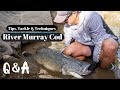 River murray cod  tips tackle  techniques qa