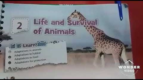 Dalauda Public School Class 4th science Chapter 2nd by Bindu Tiwari (Part 1st)