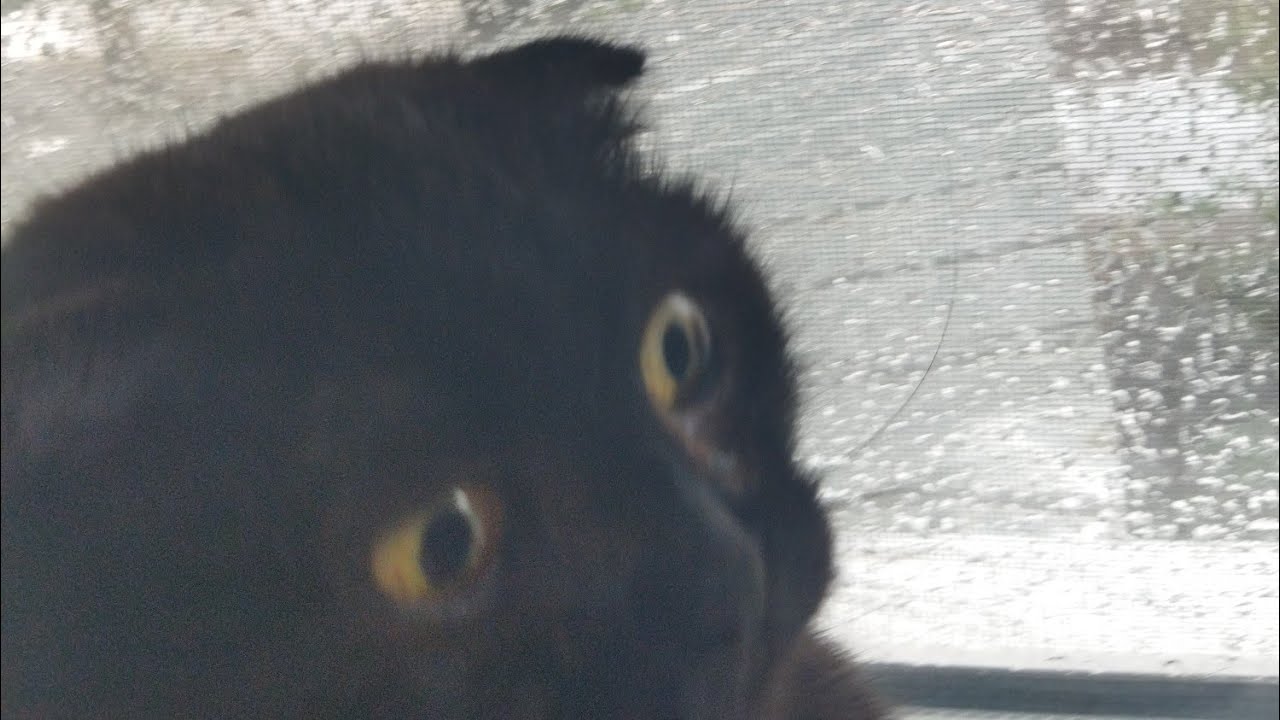 Небо почернело, пошeл дождь с громом и молнией - YouTube