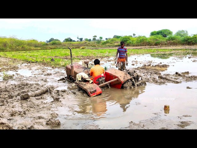 Massey Ferguson tractor stuck in mud and pulling out by jcb | jcb | | tractor | | Massey tractor | class=
