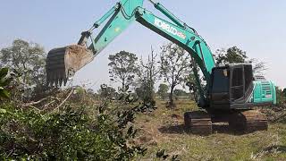 รีวิว พลังช้าง ถล่มต้นไม้ บอกสูตรการเดินบัญชี kobelco sk200-10 ตอนที่ 8 EP.3888