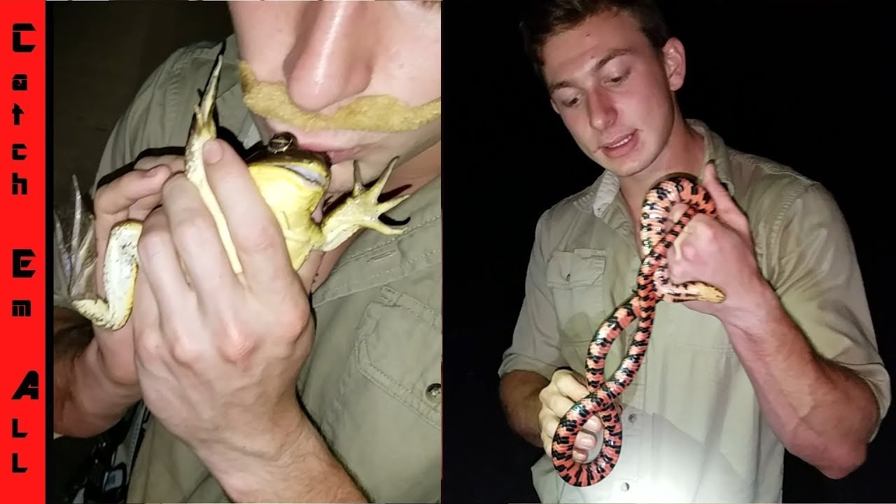 how to fish terraria CHANDLER'S WILD LIFE the Man SAVING the SNAKES!