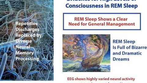 How the brain Works: Dreams and Consciousness, Video 20 of 20