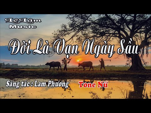 Karaoke - Đời Là Vạn Ngày Sầu Tone Nữ | Lê Lâm Music