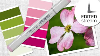 Color Theory for Alcohol Markers: Swatching Pink Blends (Edited Stream)
