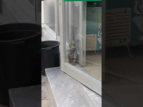 Tekkeyi bekleyen çorbayı