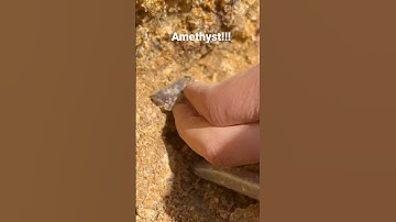 Smoky amethyst with enhydro