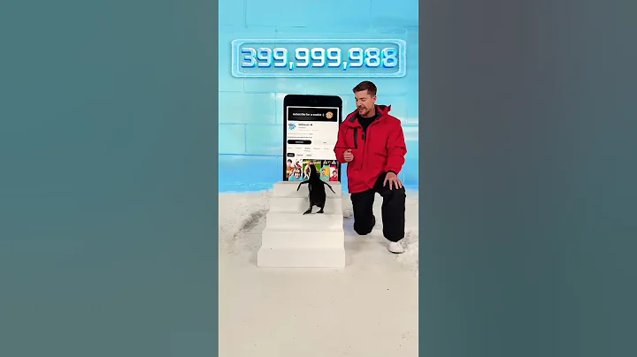 Mr Beast teach penguin to Subscribe #funny #fyp #foryou #viral #viralvideo #mrbeast