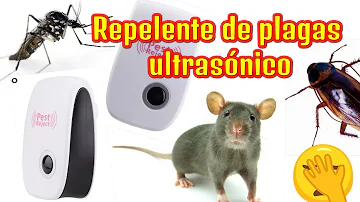 ¿Funcionan los ahuyentadores de plagas por ultrasonidos con los ratones?
