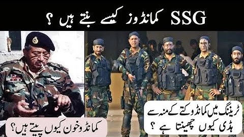 Reaction Video on How Become SSG Commandos - کمانڈوز کیسے بنتے ہیں؟ SSG | Shaista Ghauri official
