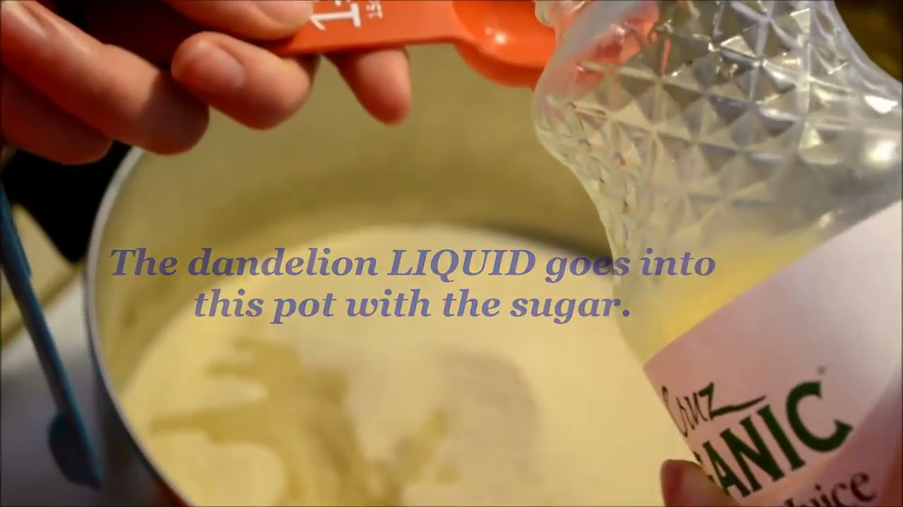 Easy Dandelion Syrup and Jelly, Cooking 101. Perfect for Holiday Gifts!