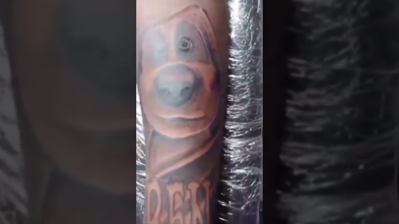 IShowSpeed Gets a Talking Ben Tattoo On His Arm  YouTube