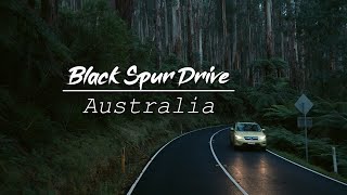 Black Spur Drive | Australia in 4K