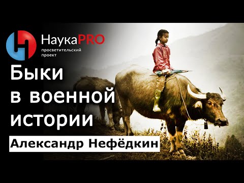 Быки в военной истории – Александр Нефёдкин | Научпоп