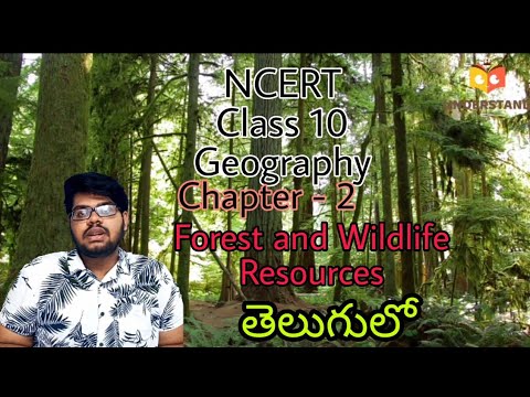 essay on natural resources in telugu