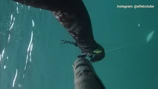 Lubina Ventilando, Salvimar Predathor Vuoto