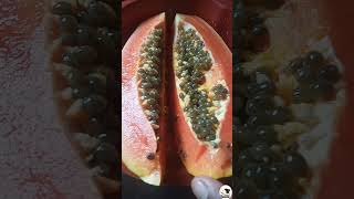 Helthy Papaya Juice | Red Lady Papaya Fruit ??? Mytasty papaya shorts viral tranding fruit