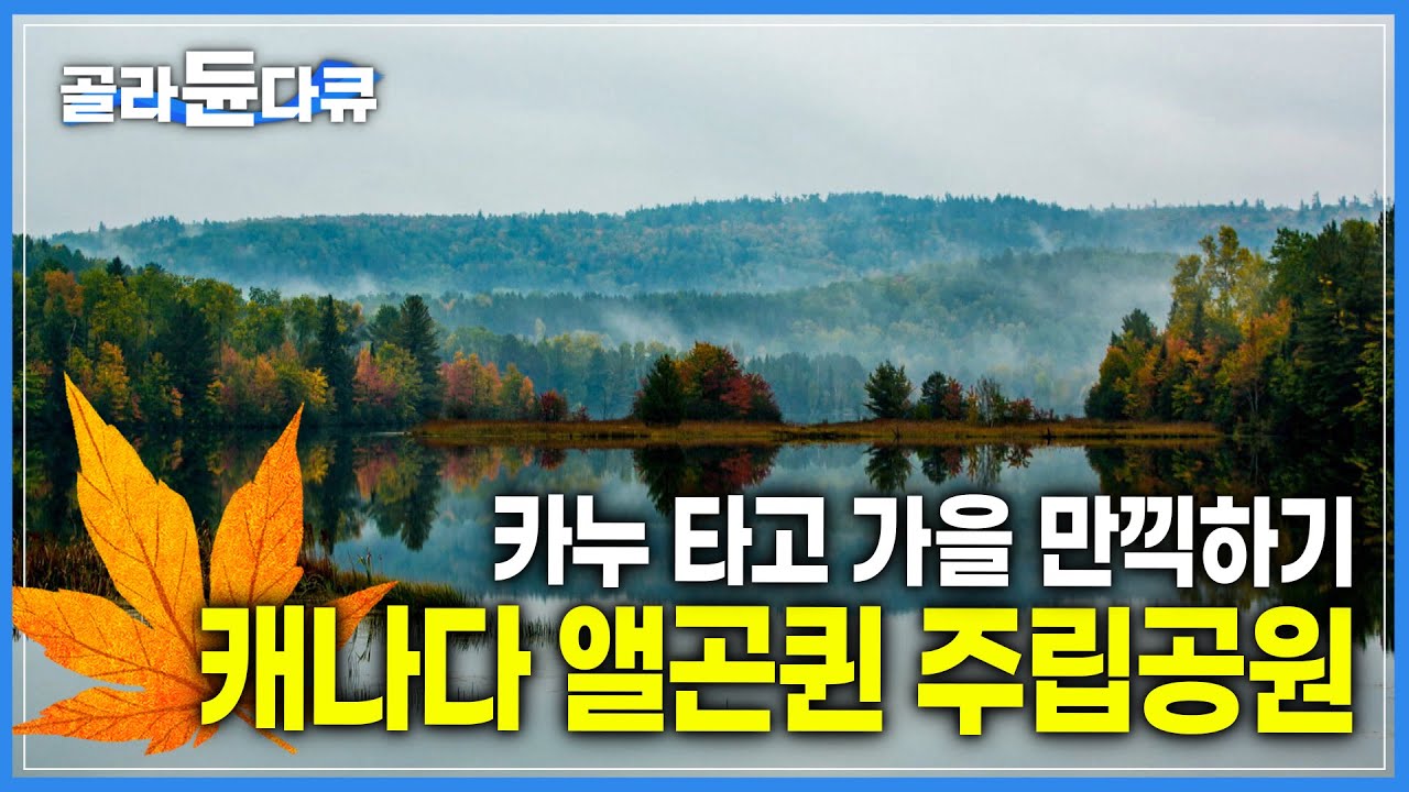 단풍의 나라 캐나다에서 가을의 진수를 느끼다! | 가을의 전설, 캐나다 동부 여행 | 카누 | 단풍 명소! 앨곤퀸 주립공원 | 세계테마기행 | #골라듄다큐 - YouTube 단풍의 나라 캐나다에서 가을의 진수를 느끼다! | 가을의 전설, 캐나다 동부 여행 | 카누 | 단풍 명소! 앨곤퀸 주립공원 | 세계테마기행 | #골라듄다큐 - Youtube