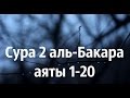 Сура аль Бакара аяты 1-20 - Зияд Пател