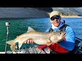 Kayak Fishing: Mackinaw Lake Trout & Burbots | Field Trips West Coast | Field Trip with Robert Field