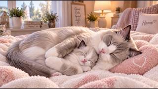Cozy Night Music for Ragdoll Cats 🐱 | Mother & Kitten Sleeping by the Fireplace | 6 Hours screenshot 2