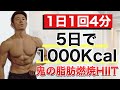 5日で１０００kcal消費する鬼のHIIT/1000kcal FAT BURNING!