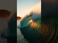 El Agua. #viral #shortsviral