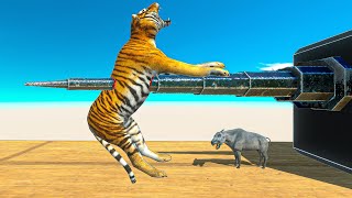 EPIC PIERCING Who Can Survive? ► Animal Revolt Battle Simulator