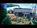 Moving corn and cattle