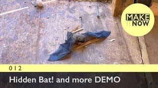 012 - Hidden Bat! and more DEMO