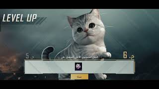 كيفيه جعل الحيوان الاليف اخر مستوى ببجي موبايل😍PUBG MOPILE صارت لفل سته❤️