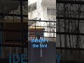 IDENTIFY the bird #birds #animals