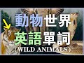 【從零开始学英语】100個動物世界英語單詞發音教學/零基础学英语/美式发音保姆级听力练习 Nate-Onion English