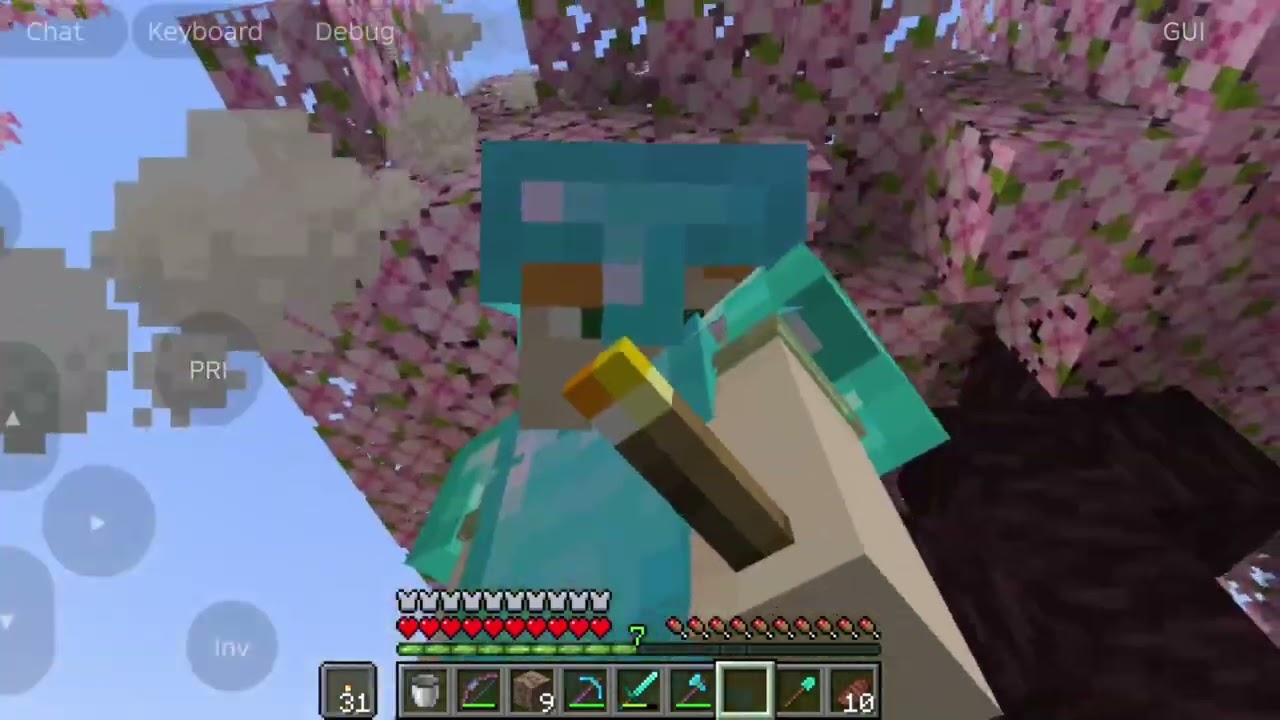 Cooking Pork chops and Enjoying the views 😁 