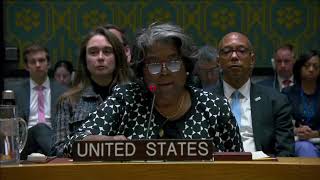 US vetoes UN Security Council resolution on Gaza cease-fire