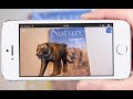 Layar  tutorial how to create an alpha channel