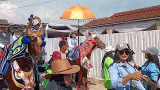 50 Kuda Renggong Di Sirap Bersama Bintang Group