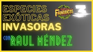 Experto en Especies Exóticas Invasoras | Faunáticos #3