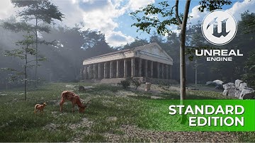 Unreal Engine 5 - Environment & PCG