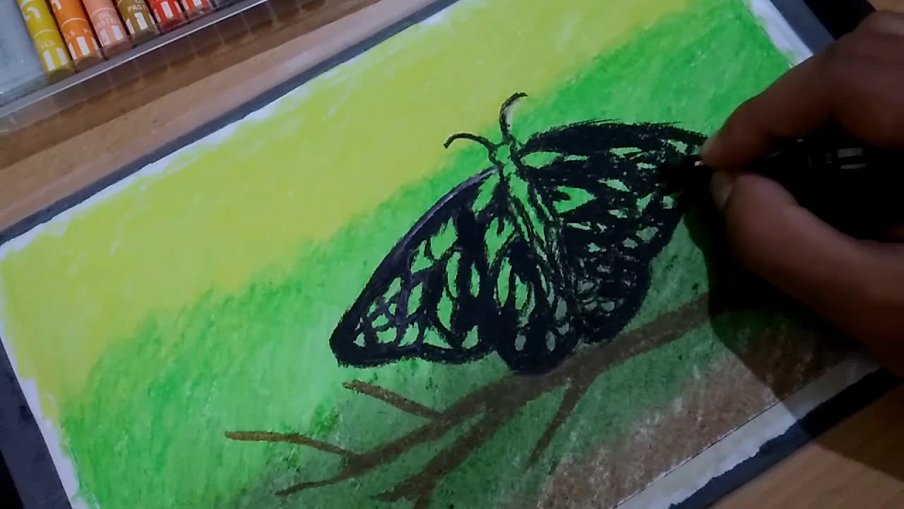 Butterfly oil pastel drawing by Rohit vardhan The DRAWING OFFICIAL