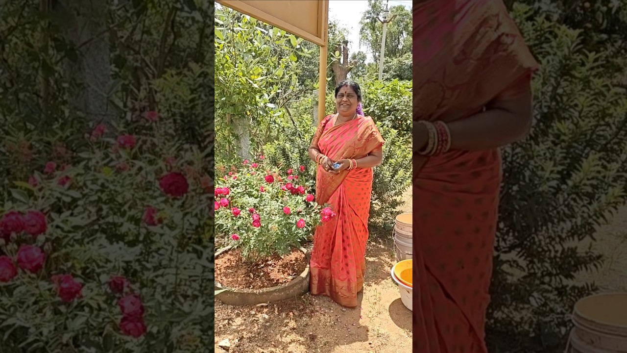 #నా సంతోషం మీ ముందుకు.#yt shorts.