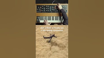 I am ~ ascending ~ #moog #analog #synth #synthesizer #humor #minimoog
