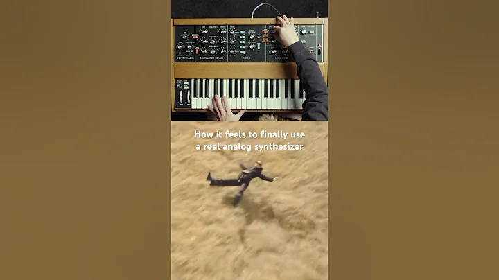 I am ~ ascending ~ #moog #analog #synth #synthesizer #humor #minimoog