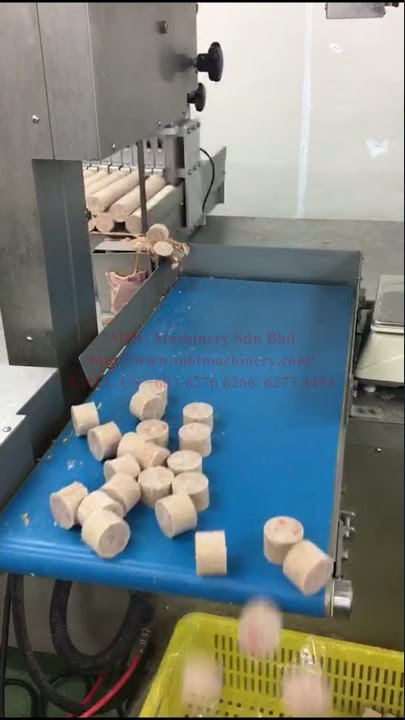 Auto Bone & Meat Saw Machine- Dino 420A
