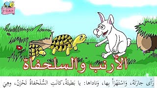 قصة (الأرنب والسلحفاة) ،، و قصة ( الديك الحكيم) الدرس الثاني للصف الثالث