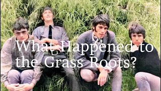 What Happened to The Grass Roots?