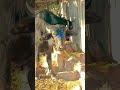 Shortsviral Shortsviral Shortsviral Shortsviral Shortsviral Shortsviral Shortsviral Shortsviral Shortsviral Shortsviral Shortsviral Shortsviral Shortsviral Shortsviral